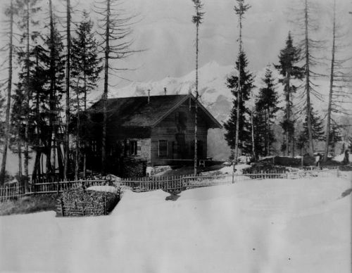 Klicken für Bild in voller Größe