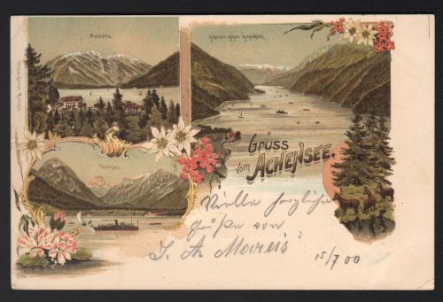 Klicken für Bild in voller Größe