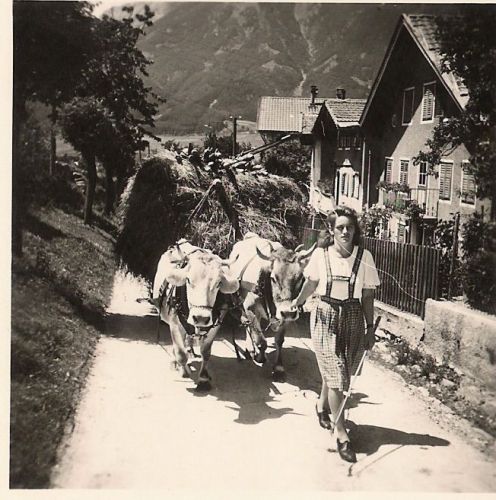 Klicken für Bild in voller Größe